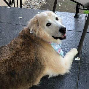 Meet your Posher, Lori